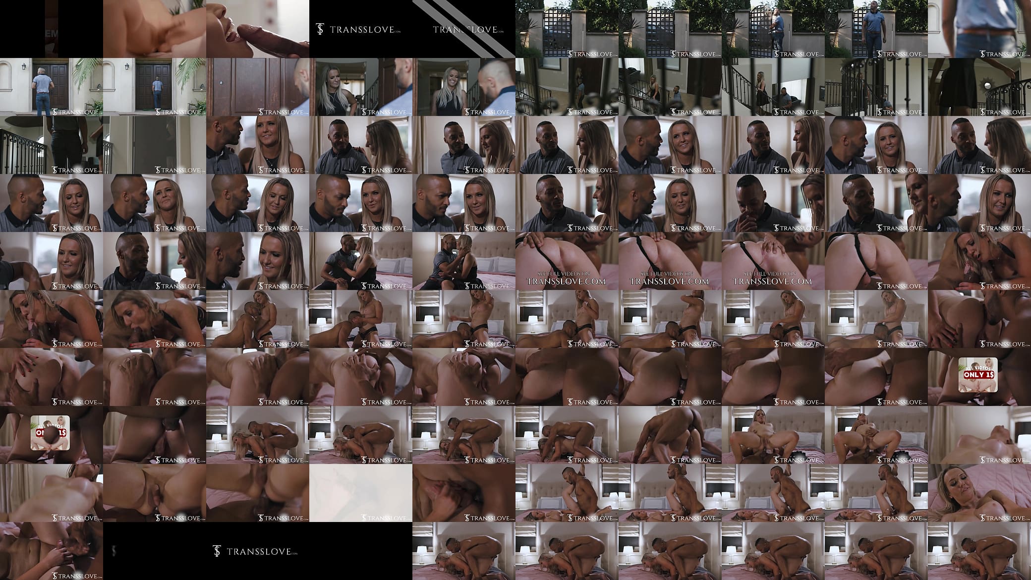 My transsexual friend convinces me to fuck her doing a anal 预览图