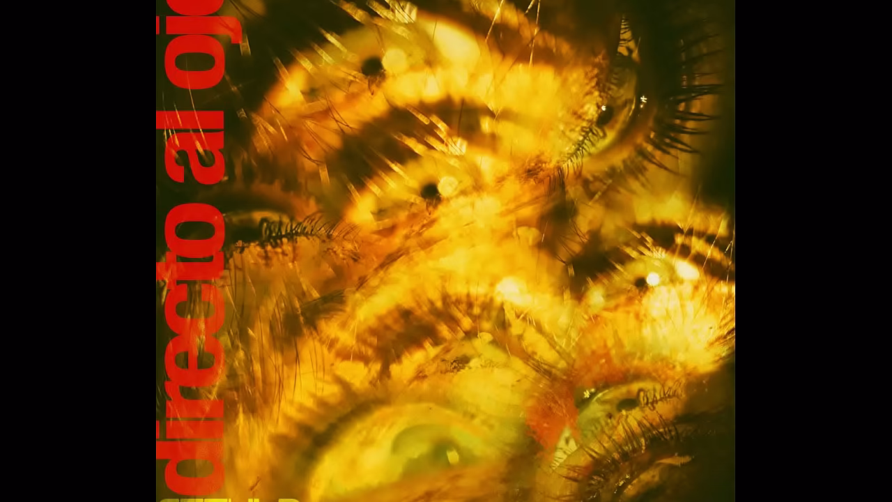 CICUTA - DIRECTO AL OJO