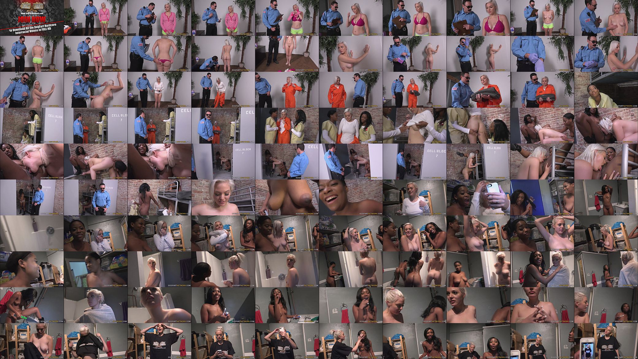 Jenna Ivory Gets Fucked By Her Black Lesbian Cellmates 预览图