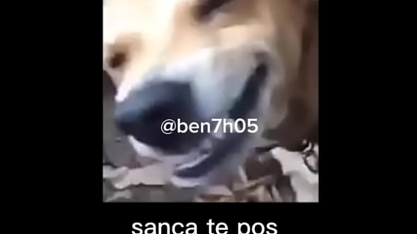El viejo sanca