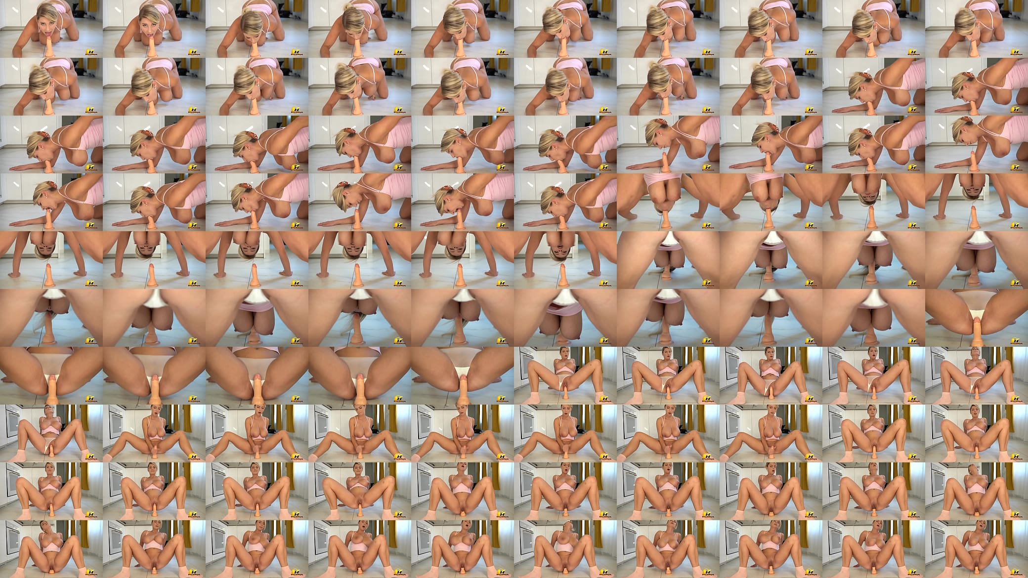 Hortlova ride dildo 预览图