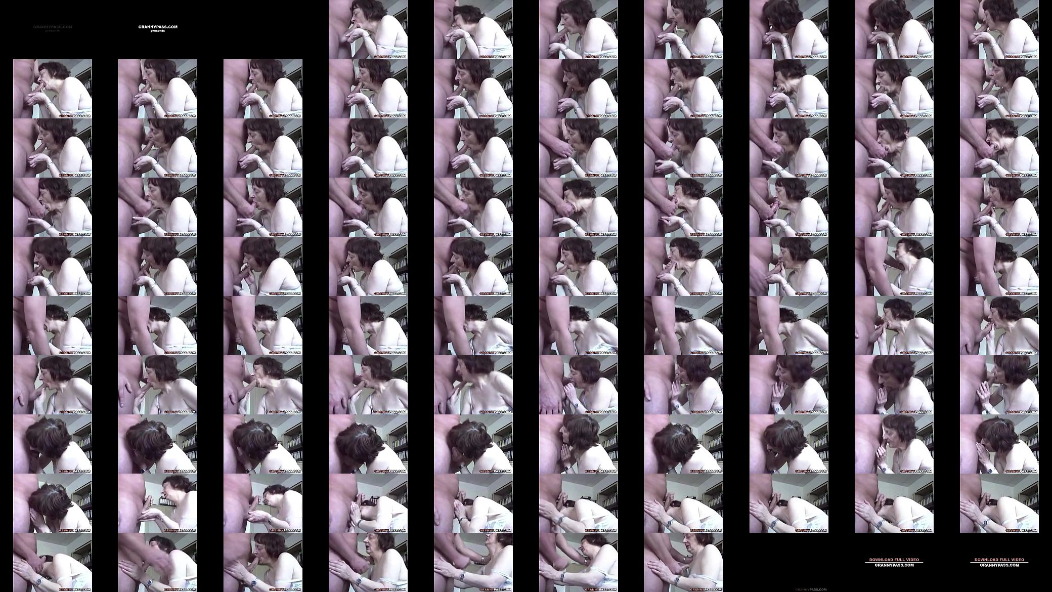 Erotic Granny  Blowjob 预览图