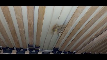 I fuck the hole in the mattress and I ejaculate...