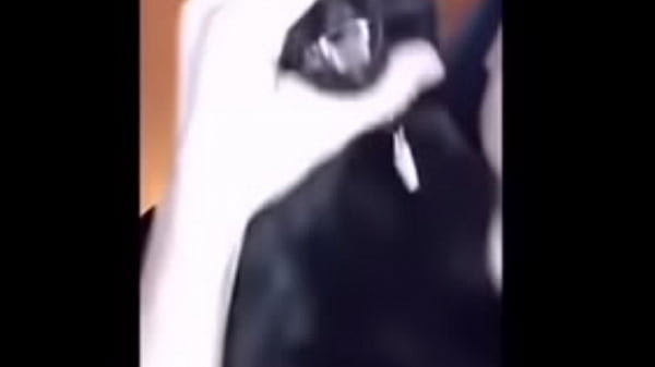 tente não rir nivel facil