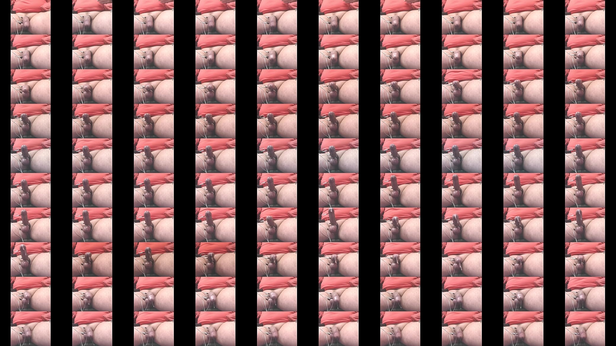 estim    cock 预览图