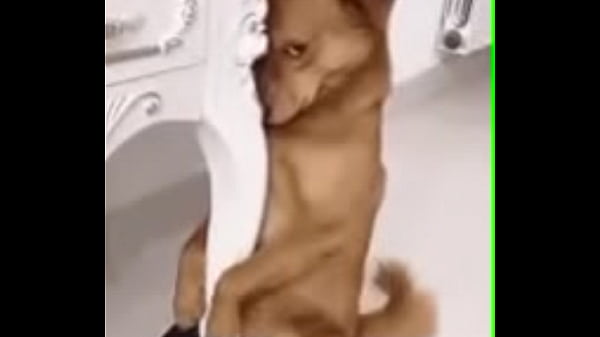 Xxx