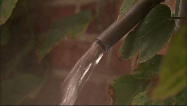 Faith Leone Starts Out Making Love To Her Stud But Then They Fuck Hard