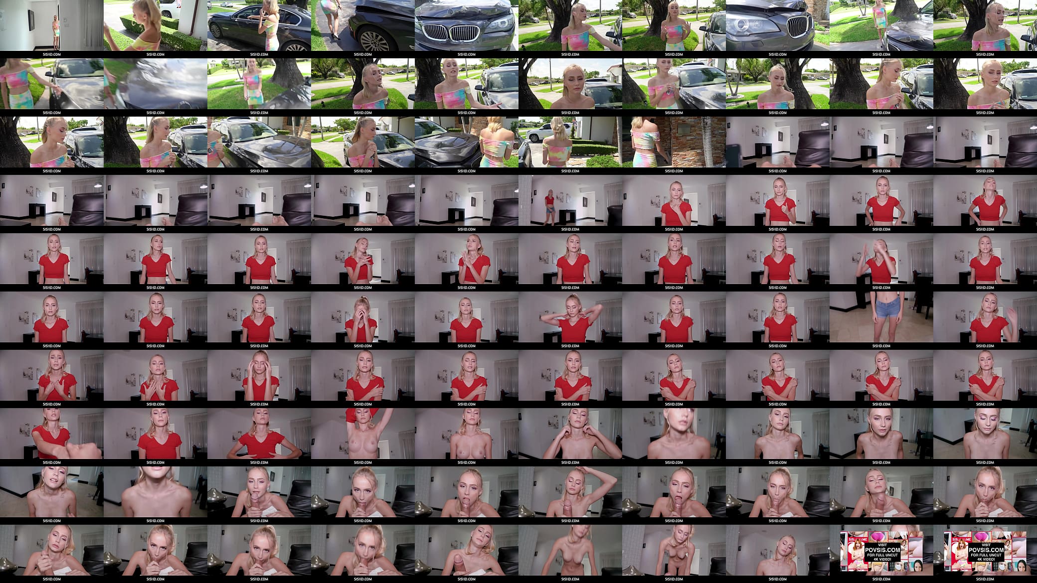 SisHD  -  Petite Alicia Williams has crashed his stepdad&#039;s car she asks his stepbro, Johnny, to lend her some money but he wants to trade it with some blowjobs 预览图