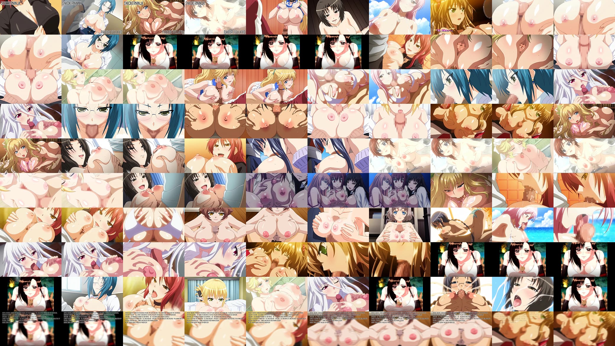 HMV Paizuri Fellatio (Snickerninja) 预览图