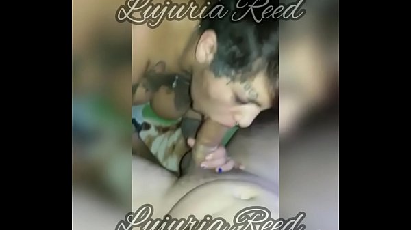 Download Video - Prostituta de Escobar cojiendo y chupando la verga de un cliente hasta que le llenan la cara de leche MAS EN EL LINK DEL PERFIL&excl;