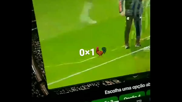 Galo