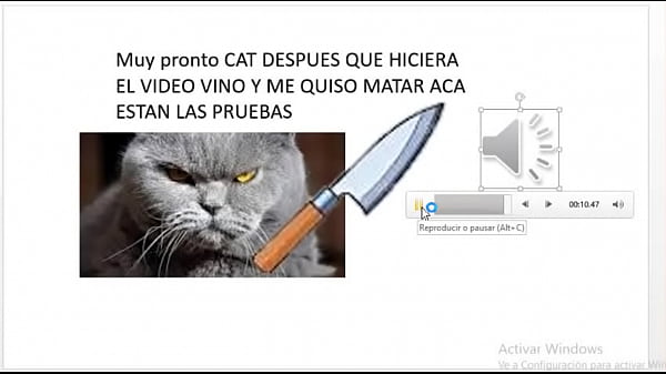 este hijo de puta coge como un perro en celo