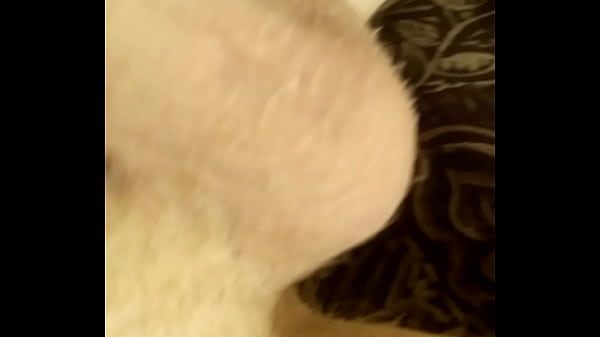  Cock Overview