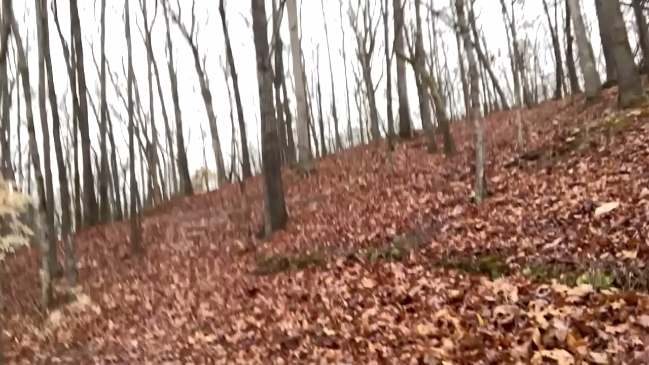 Clitlicker662 - update #58 - IMG 1611 - Mar 13, 2026