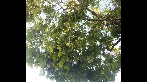 Download Video - Rola na city