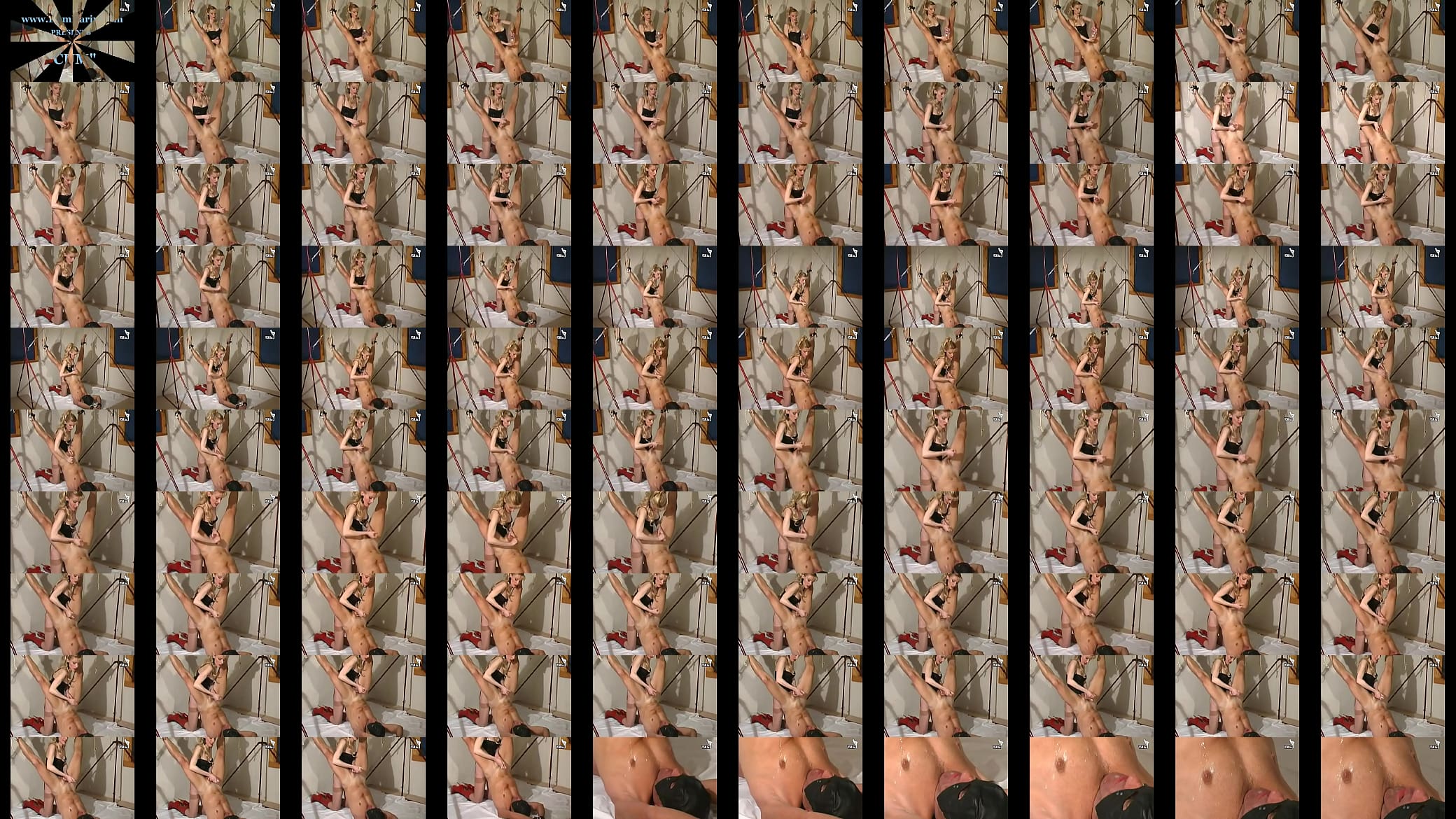 3941 预览图