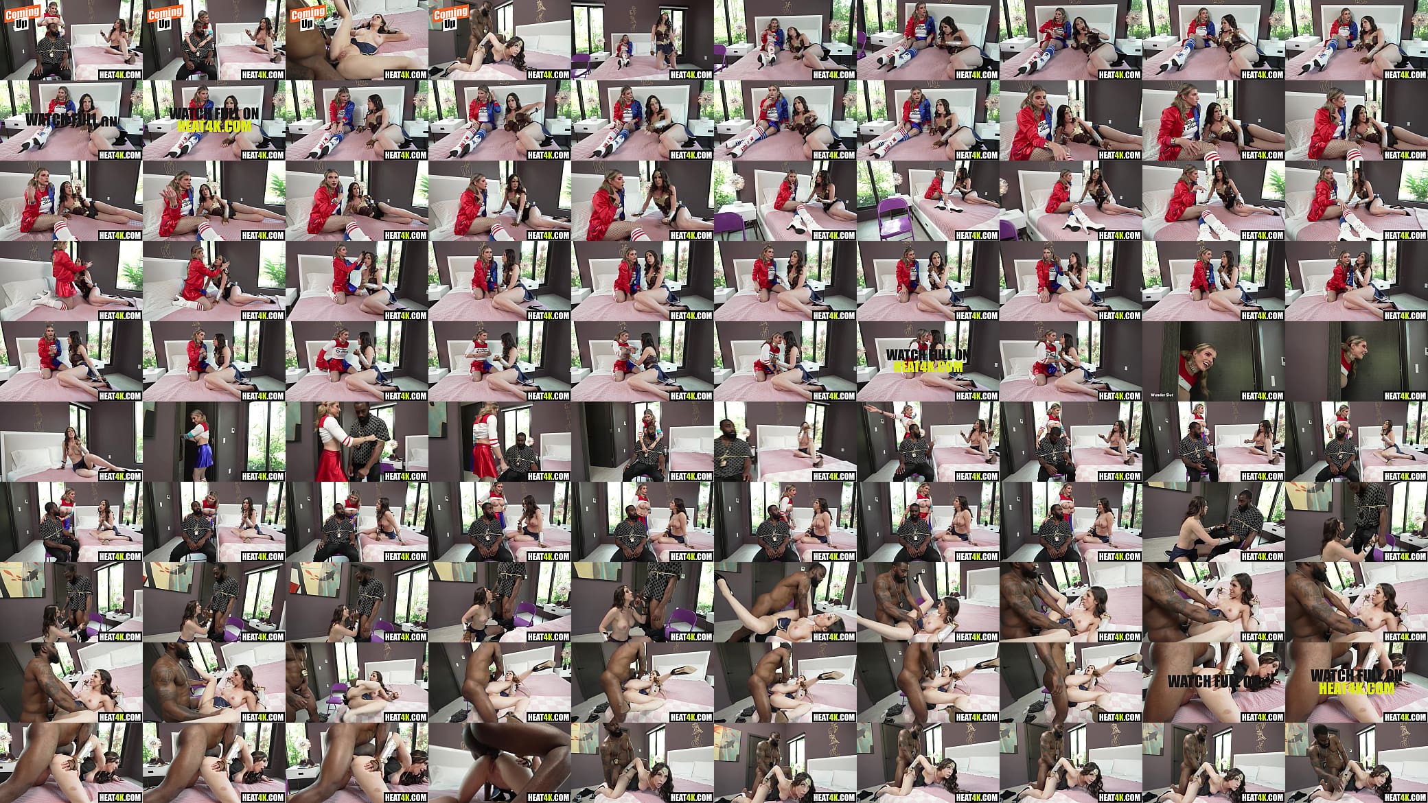Crown Point Confidential Bound By Wunder and Harley Cory Chase, Amiee Cambridge, Ace Bigs 预览图