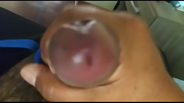 Download Video - paja pensando en ti