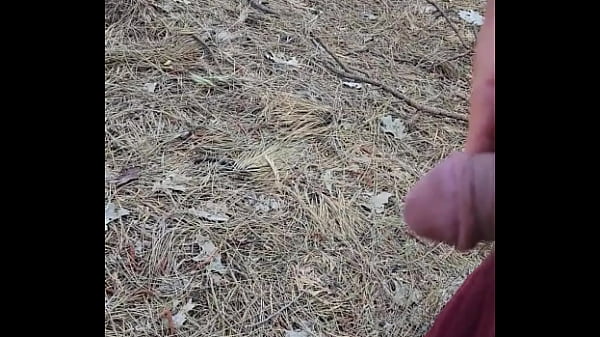 Kaso221 - outside pee