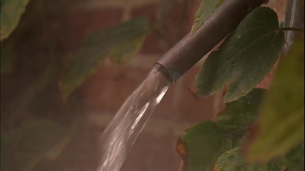 Faith Leone Starts Out Making Love To Her Stud But Then They Fuck Hard