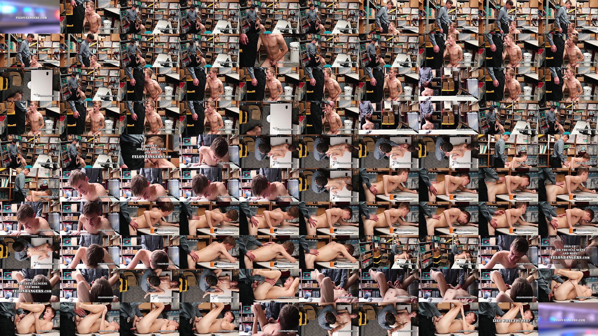Twink Cop Twink Felon 预览图