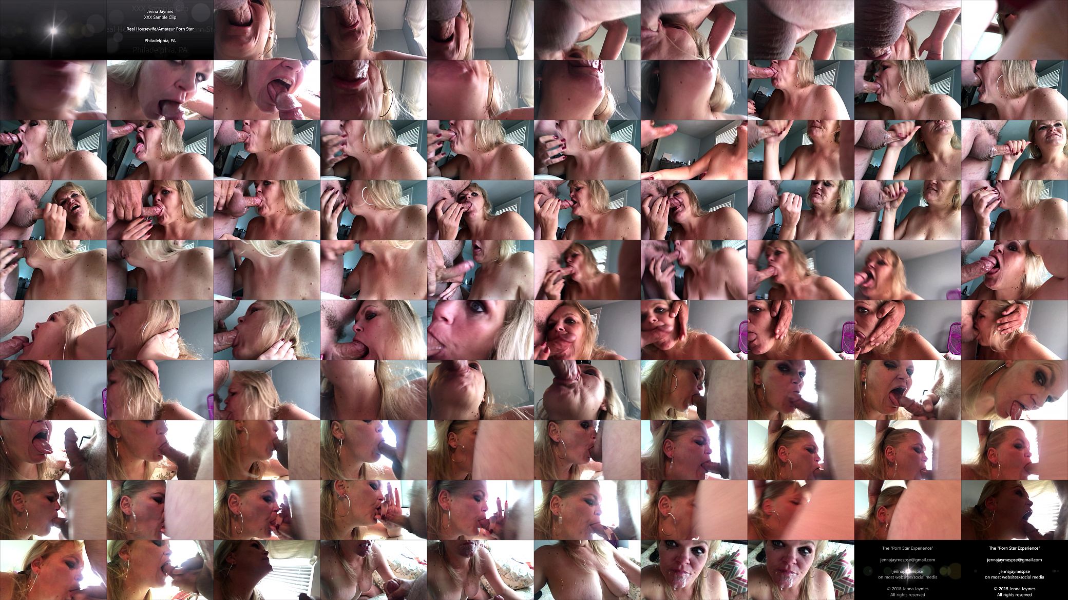 Jenna Jaymes Goes Off On A Cock 预览图