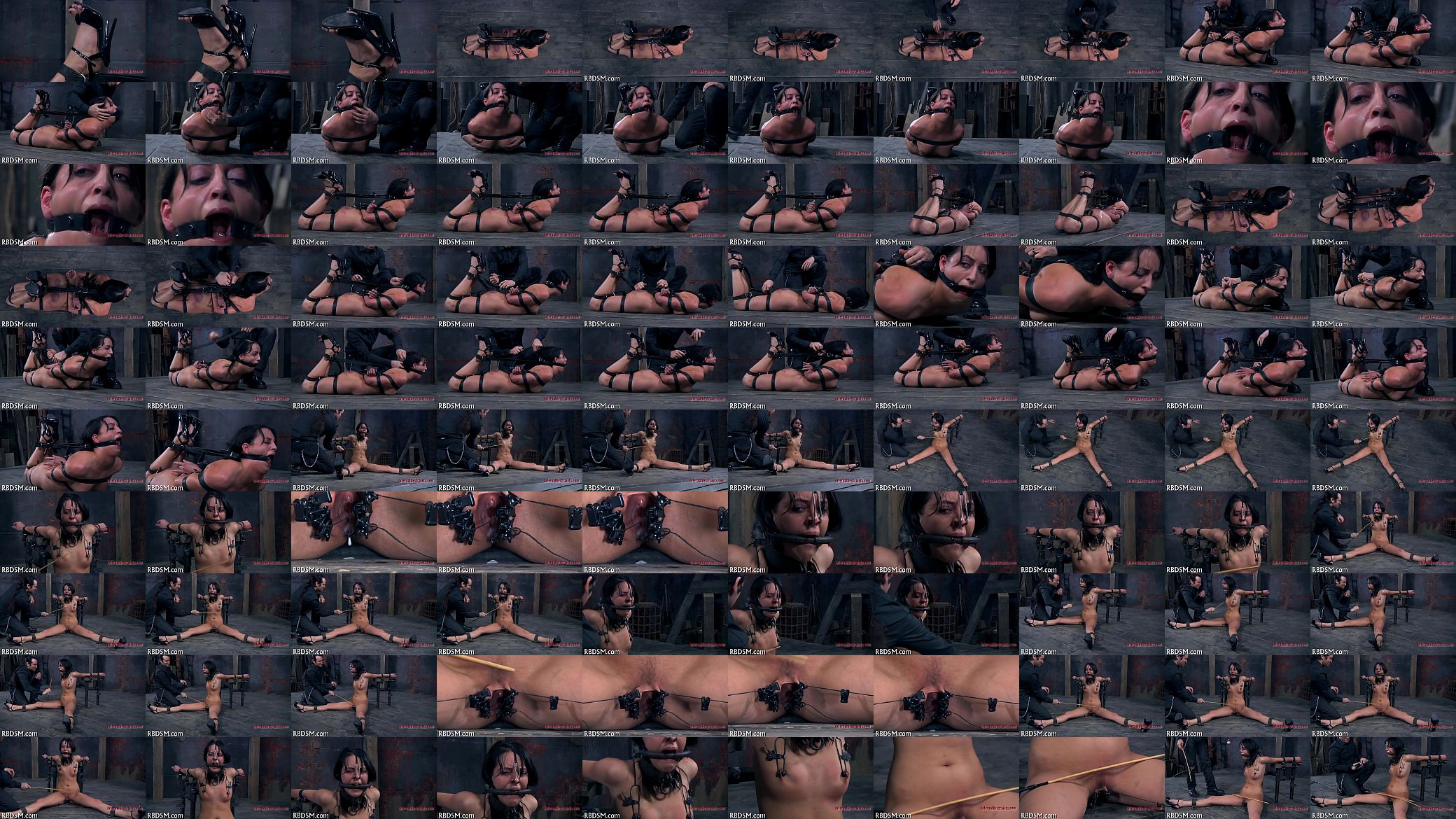 Vids of bdsm 预览图