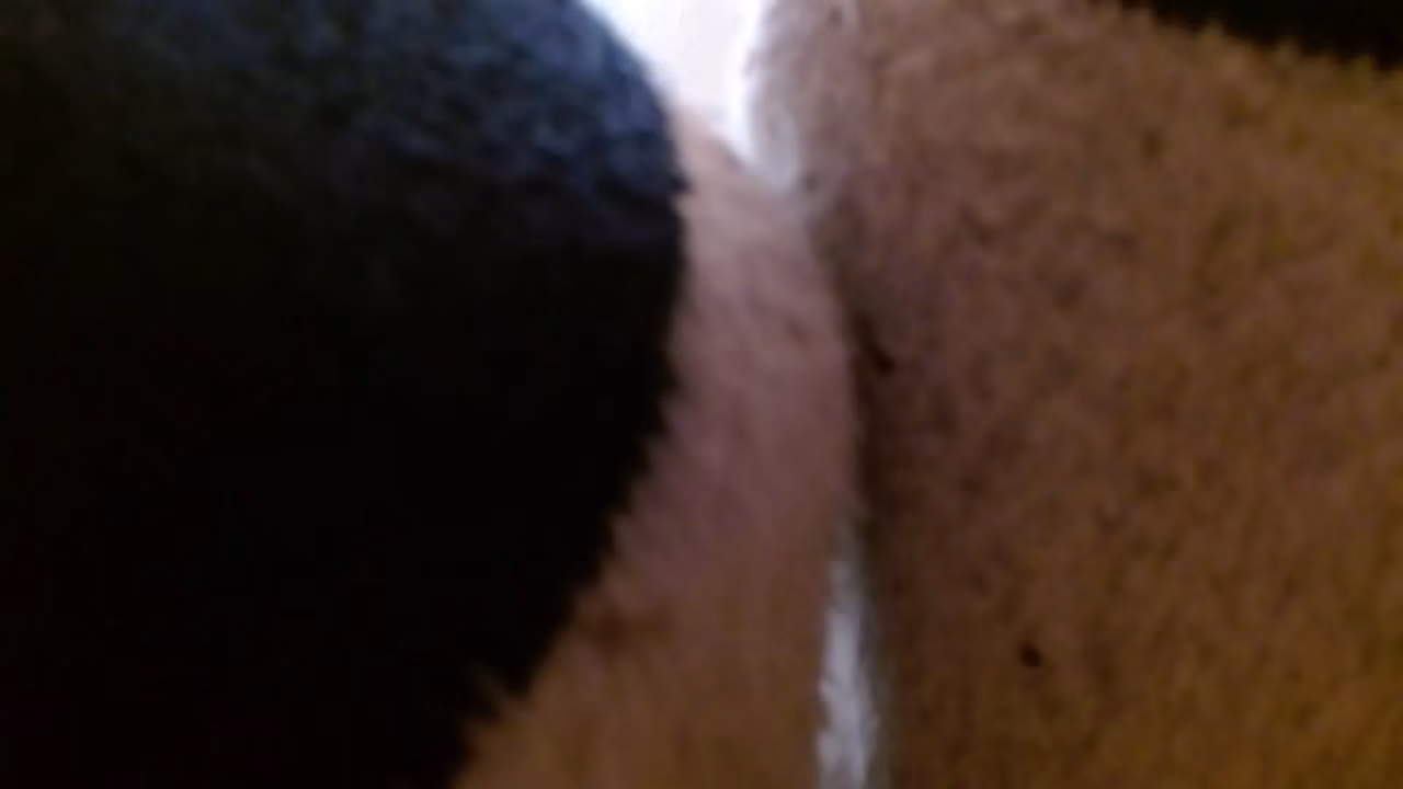 Dawnskye1962 - update #236 - 1376 Mason smell my dirty socks - Mar 28, 2026