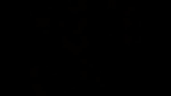 Video x&aacute;c minh