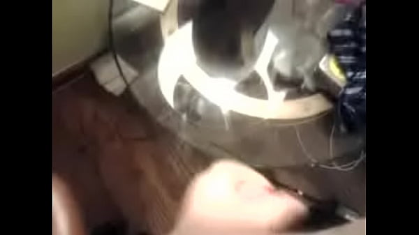 video-2012-01-25-23-30-05