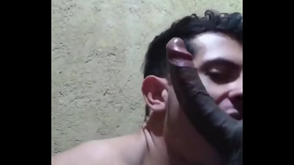 Download Video - Compila&ccedil;&atilde;o de algumas das mamadas do novo DI&Aacute;RIO DE MAMADAS