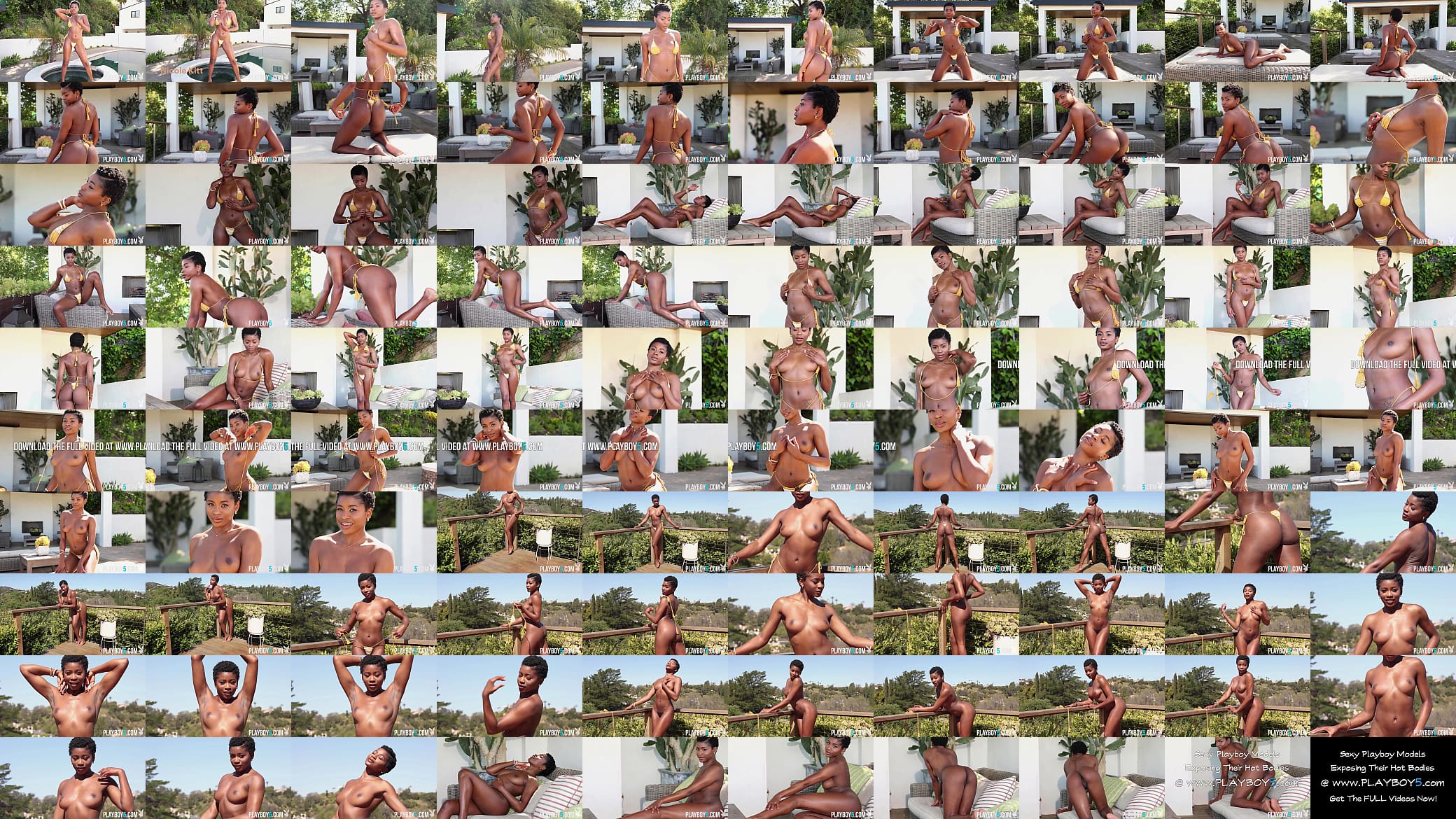 Ebony MILF Nicole Kitt so luscious exposing that hot naked body 预览图