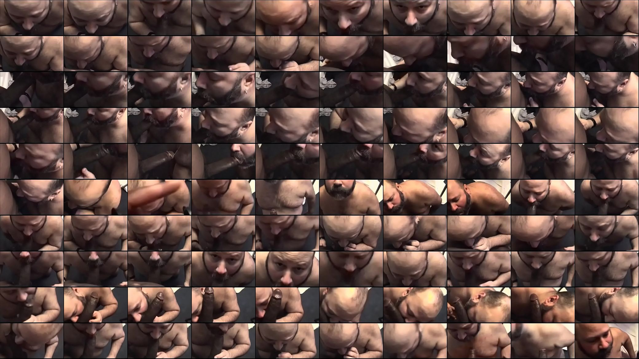 2048556 预览图