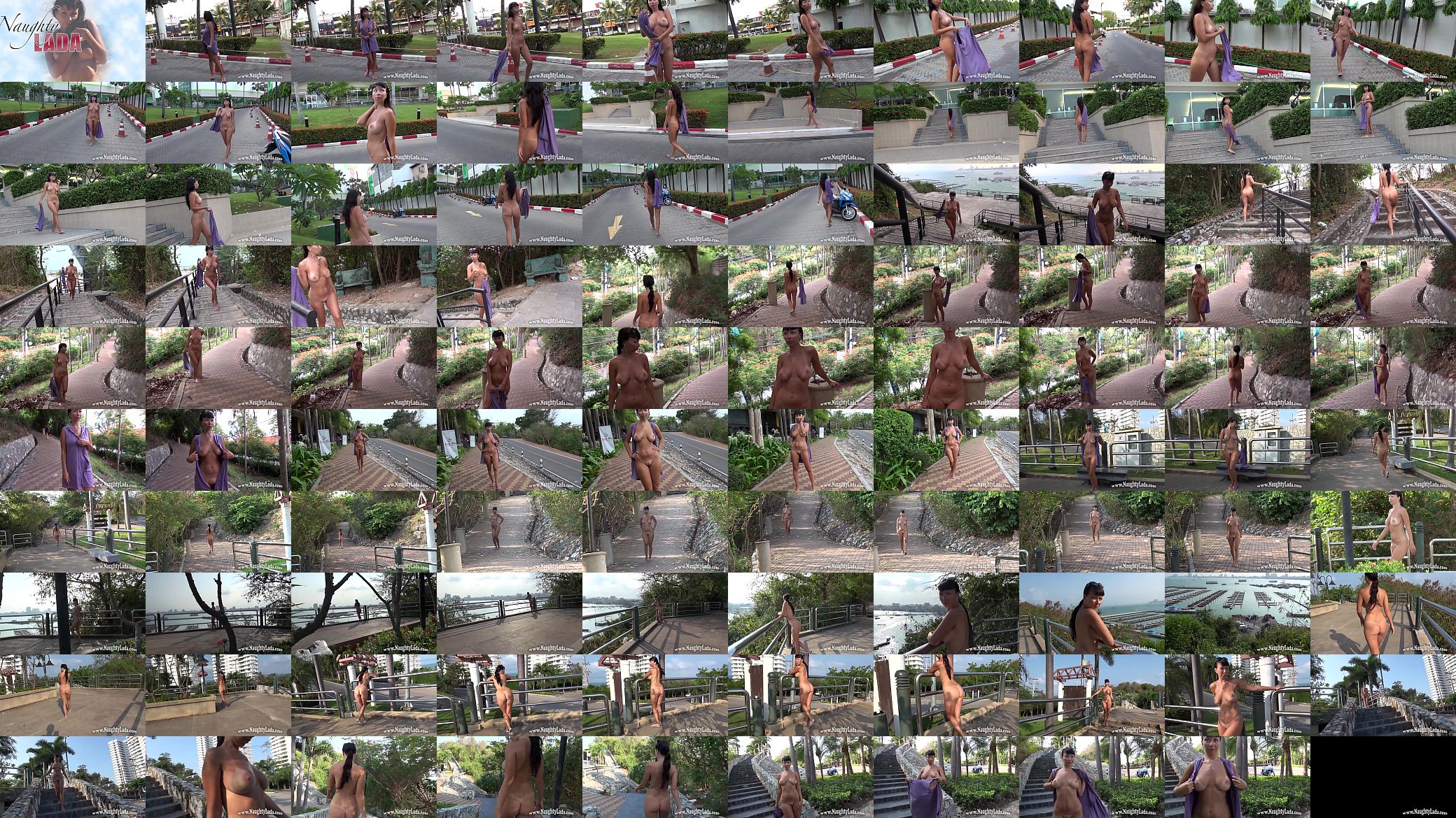 Naked in public 预览图