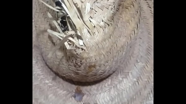 Alguém para tomar o leite do cowboy