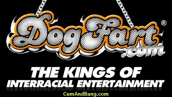 Black ho sucks on white dicks in a group blowjob 24