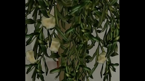 I fuck my Gf on IMVU