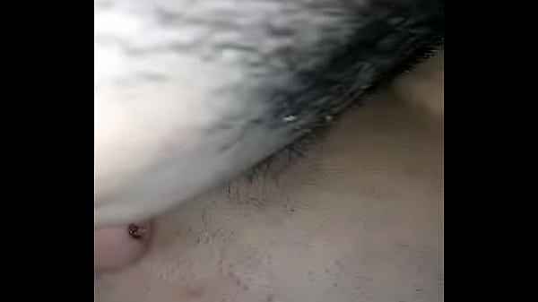 ジョーによるクリシアスの猫
