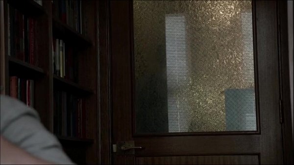 Download Video - Sasha Alexander in Shameless