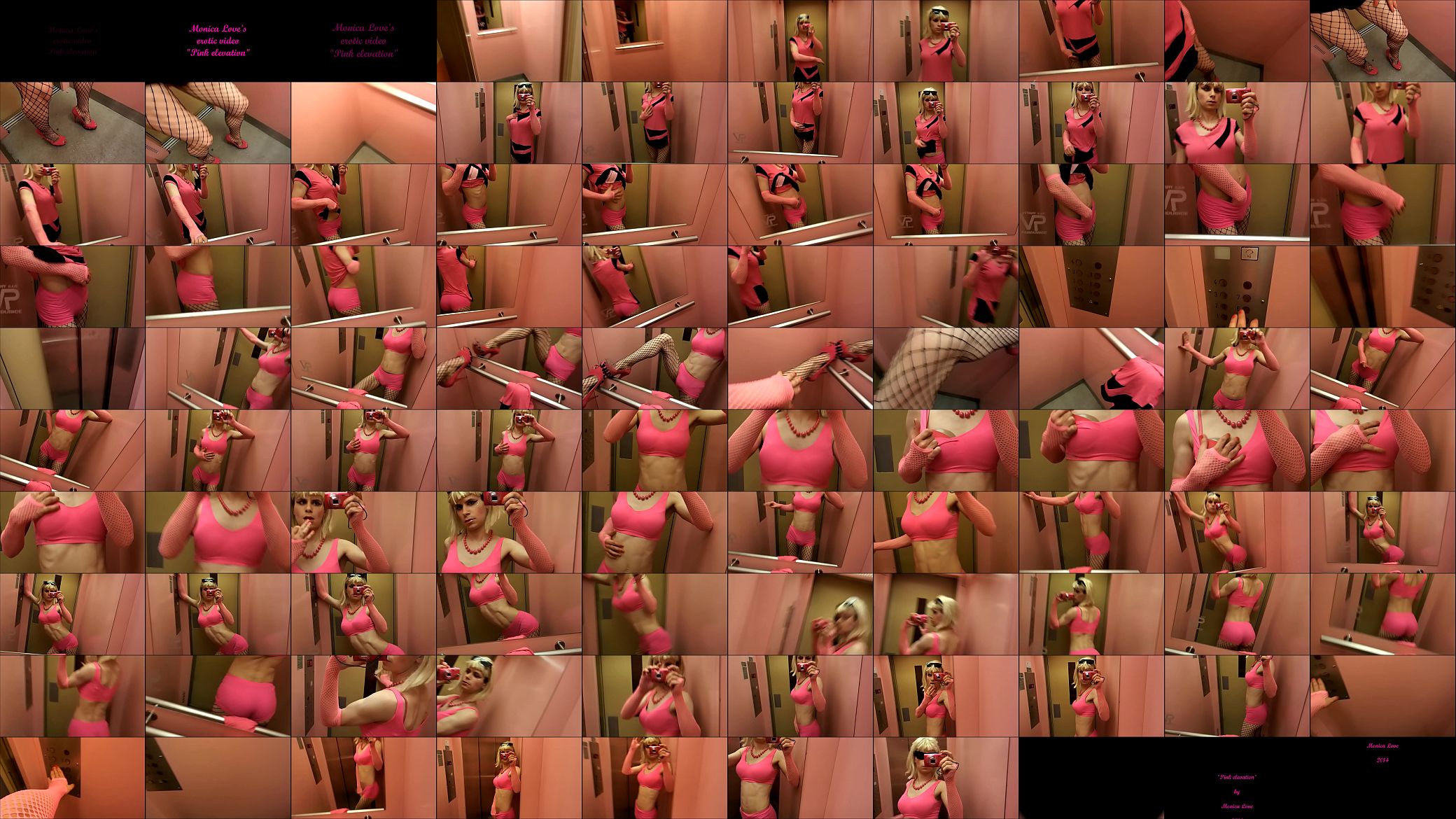 Pink elevation 预览图