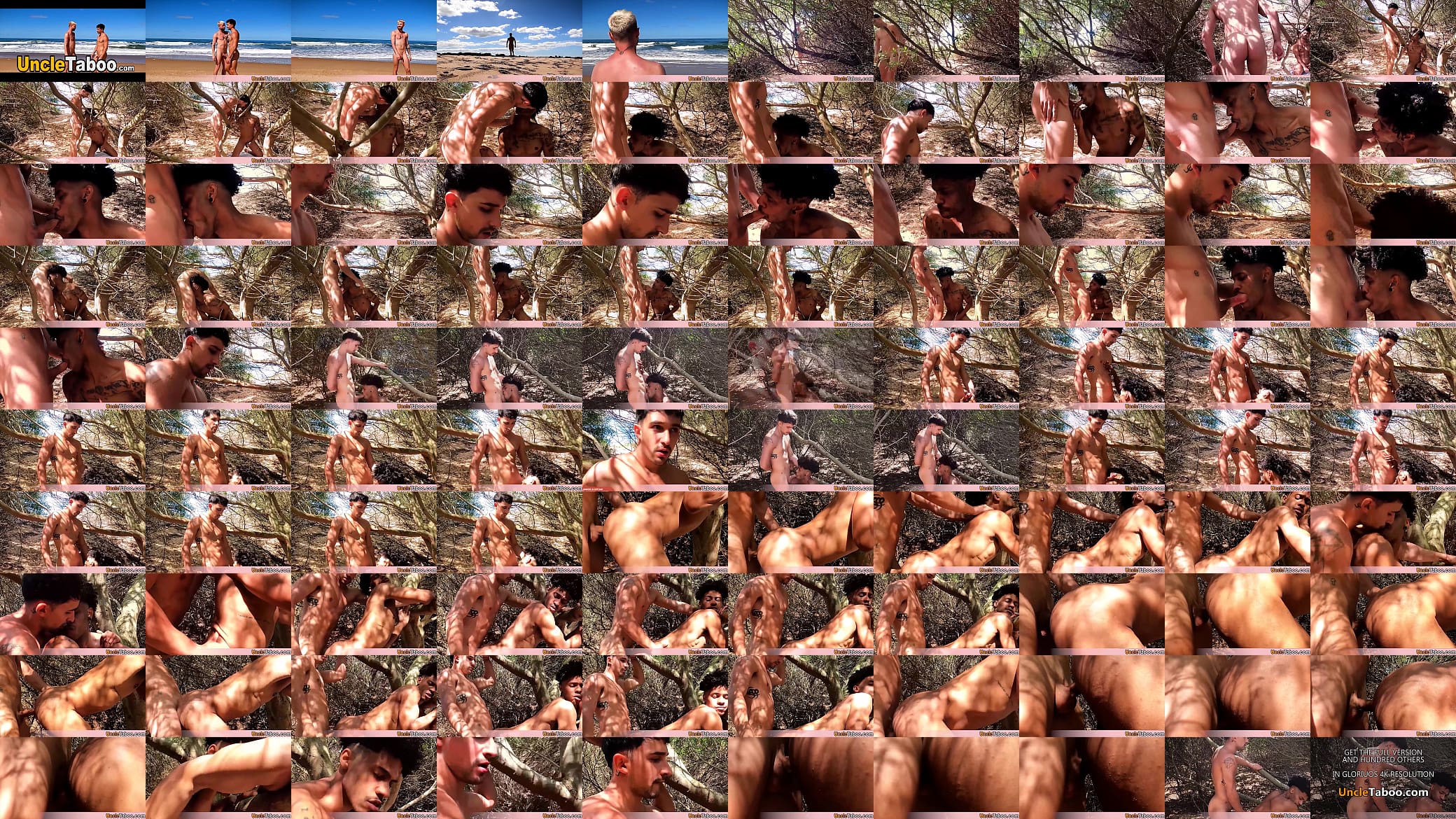 A chance encounter on the beach leads to outdoor bareback fucking 预览图