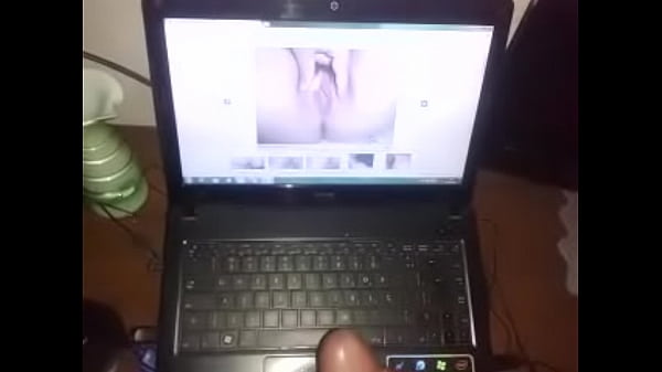 the cat's bite