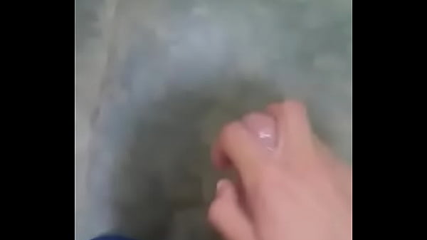 Meu pau