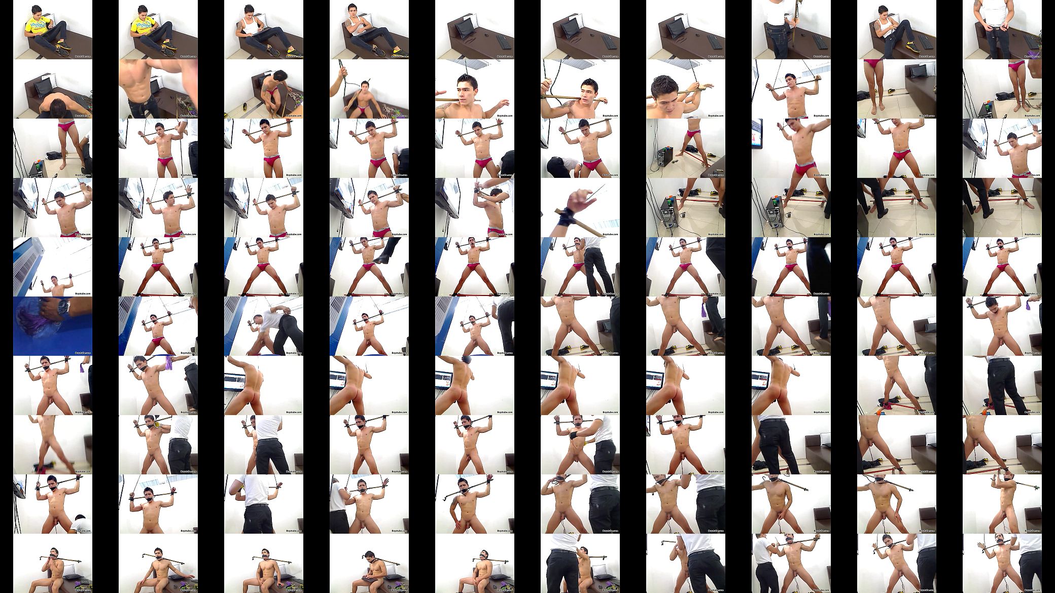 whipped bondage 预览图