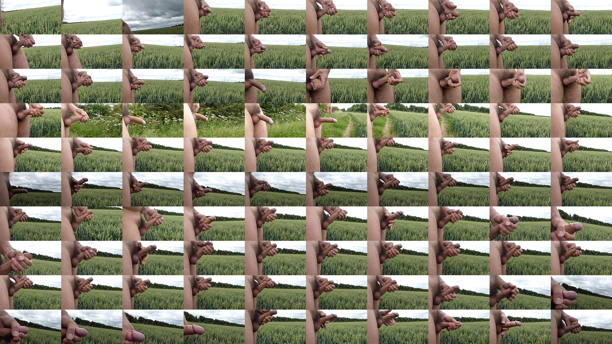 Jerking in fields09 预览图