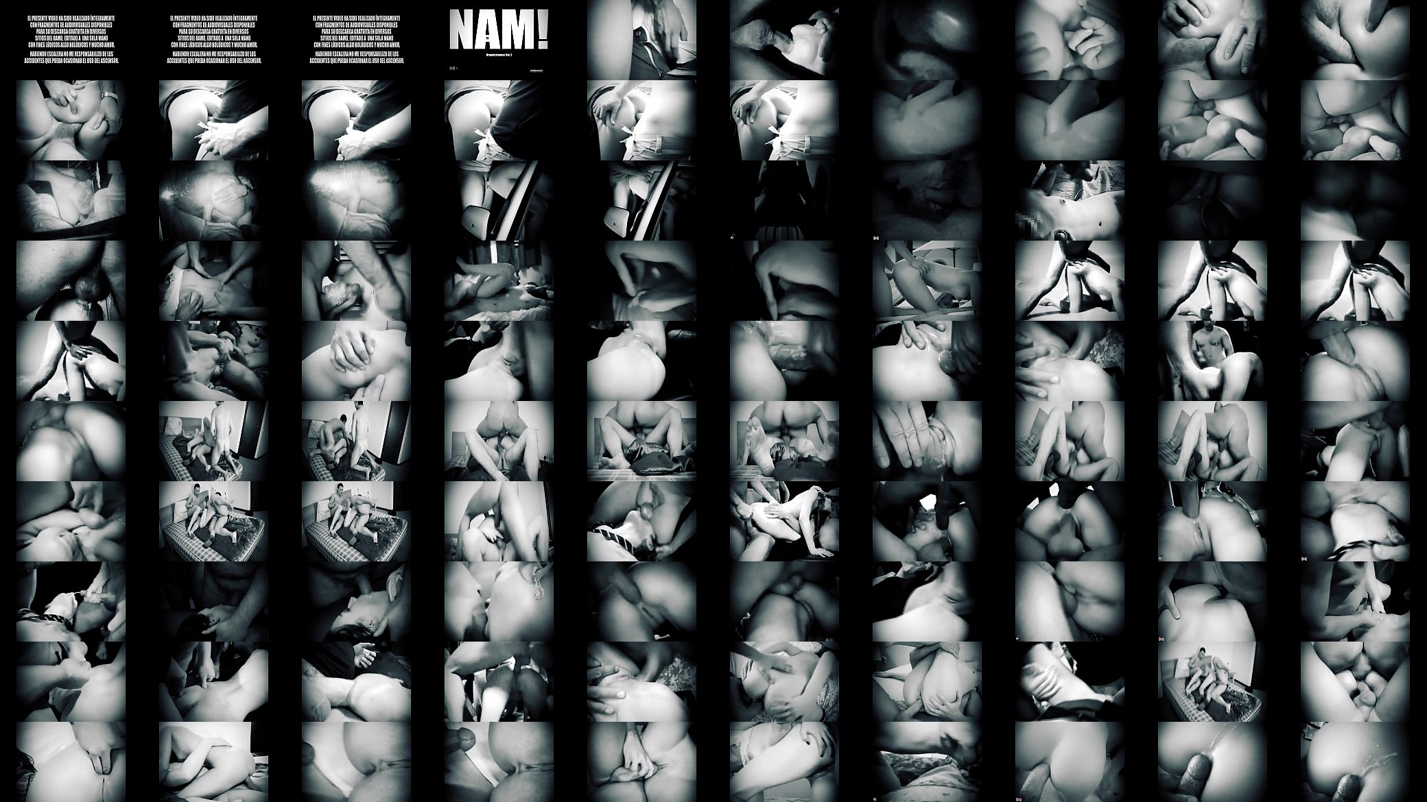 NAM 13 - Organicemonos 2 预览图
