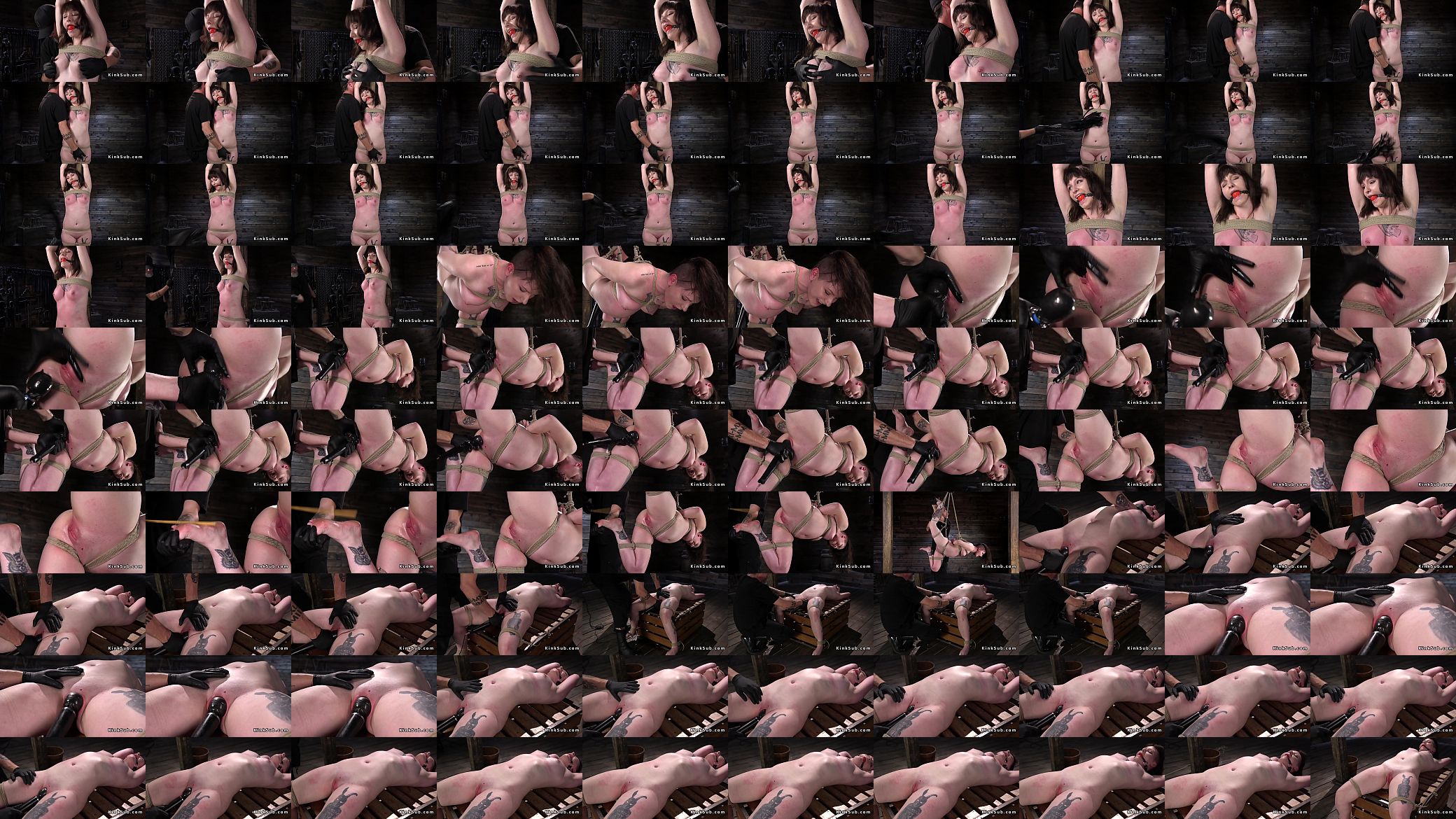 Brunette in hogtie gets pussy vibrated 预览图