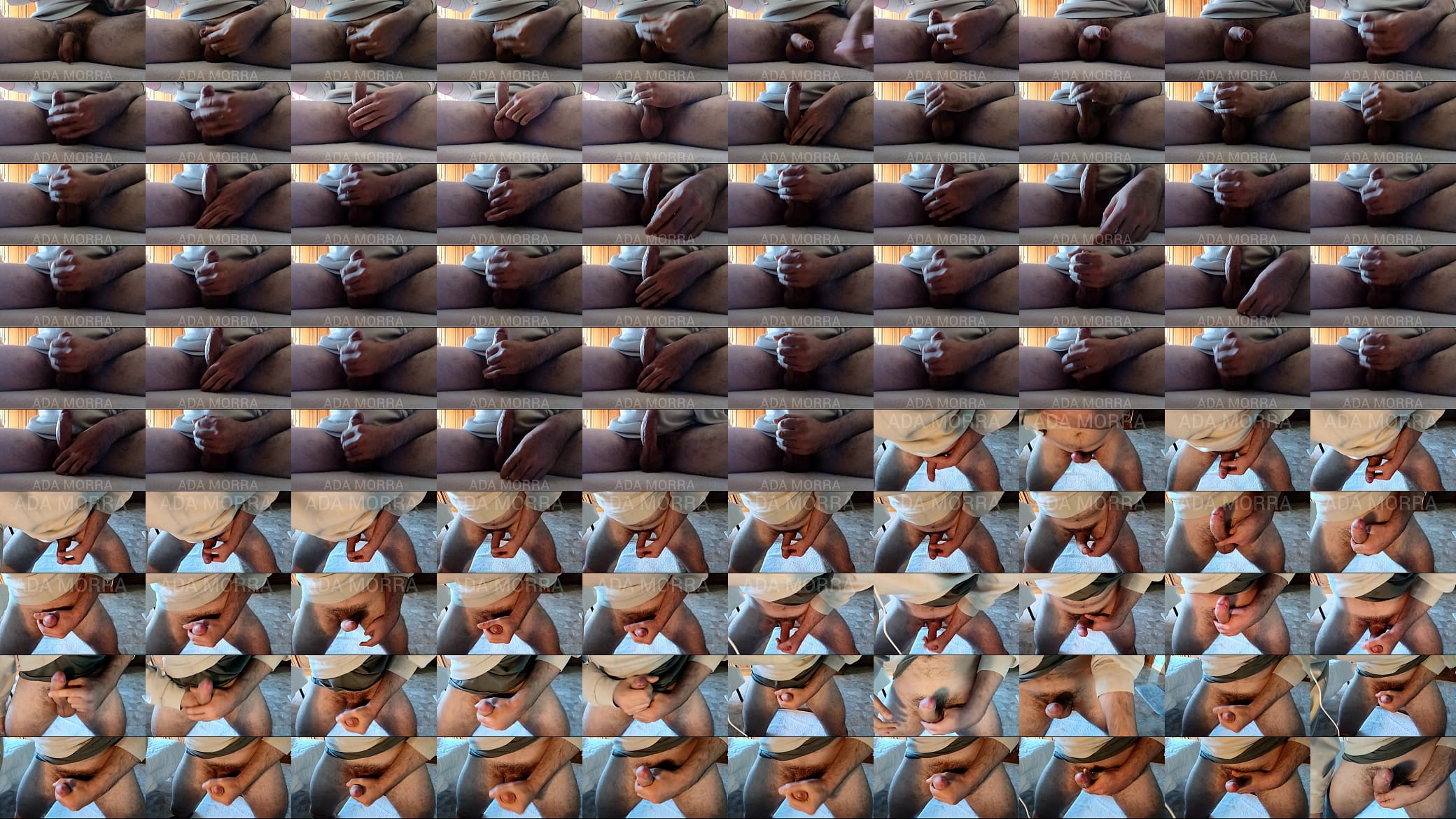 This is Ada&#039;s cock and you are going to masturbate on it 预览图