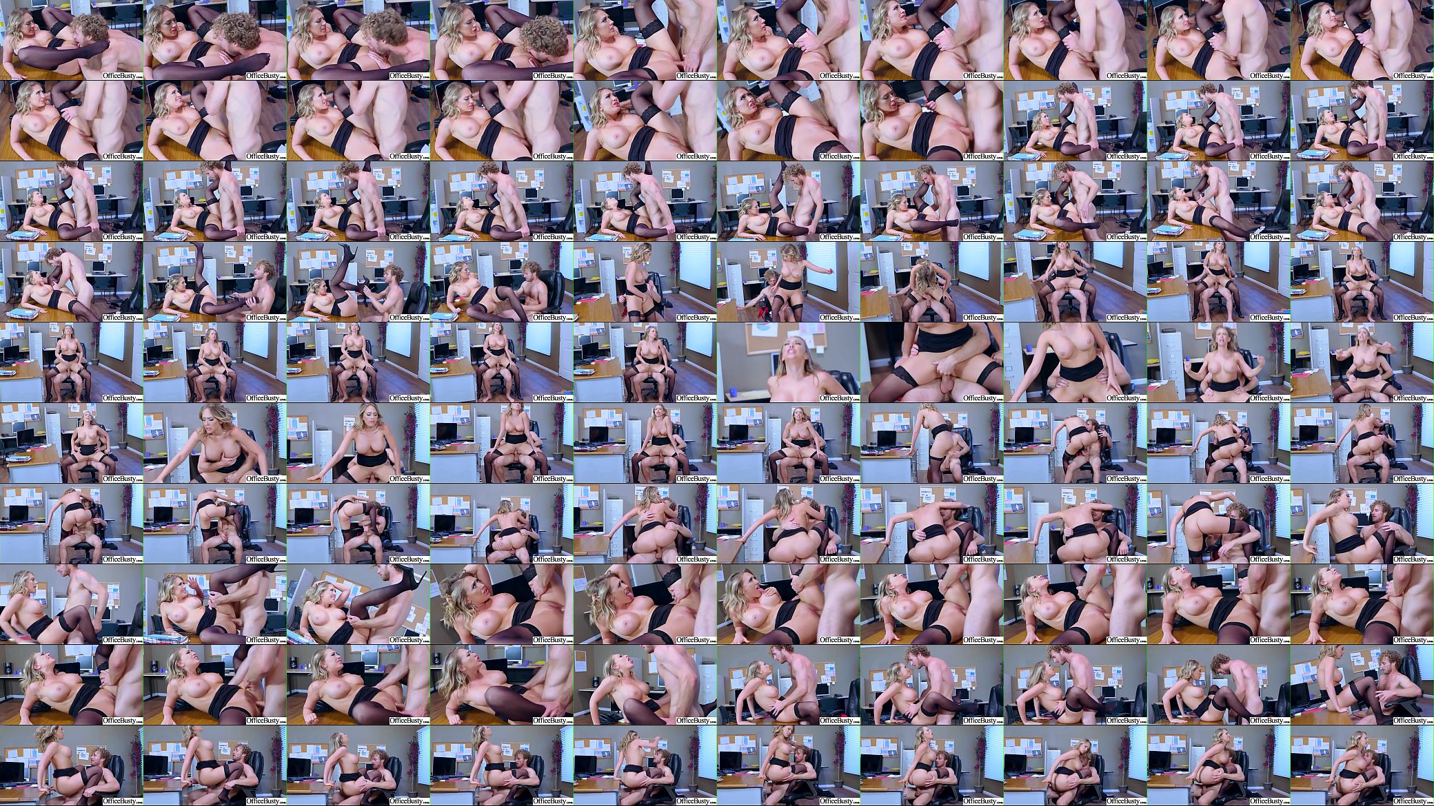 Big Round Tits Girl (Kagney Linn Karter) Enjoy Hard Intercorse In Office mov-14 预览图