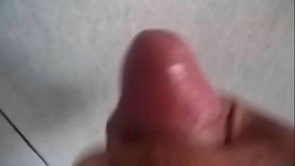 Leitinho pour les amis - venez choisir où vous voulez obtenir mon lait